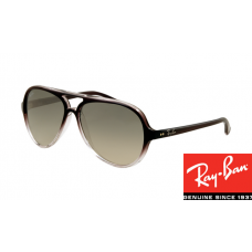 Replica Ray-Bans RB4125 Cats Brown Crystal Frame sale