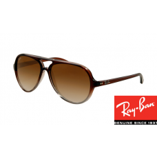 Fake Ray-Bans RB4125 Cats Brown Frame Brown Lens Sale